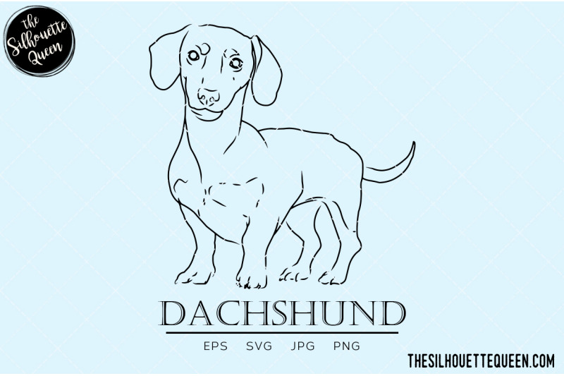 dachshund-sketch