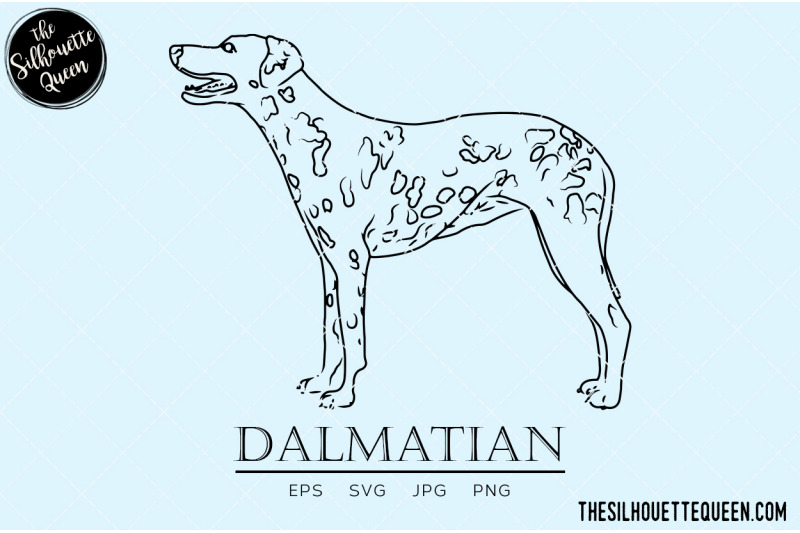 dalmatian-sketch