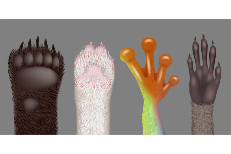 paw-realistic-wild-animals-paws-cat-dog-bear-frog-racoon-decent-vecto