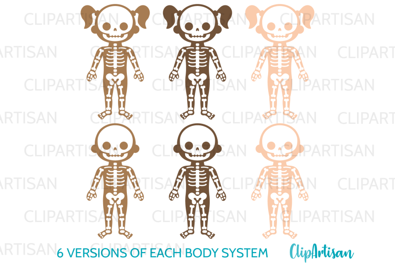 human-body-systems-clipart