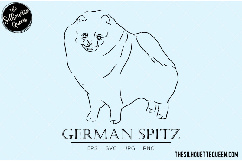 german-spitz-sketch