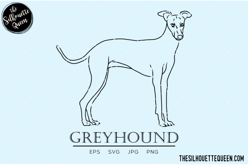 greyhound-sketch