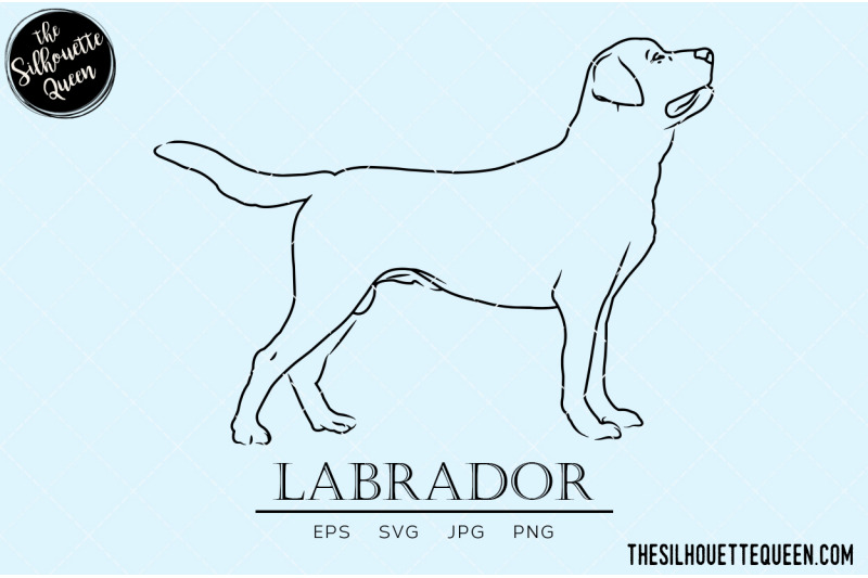 labrador-sketch