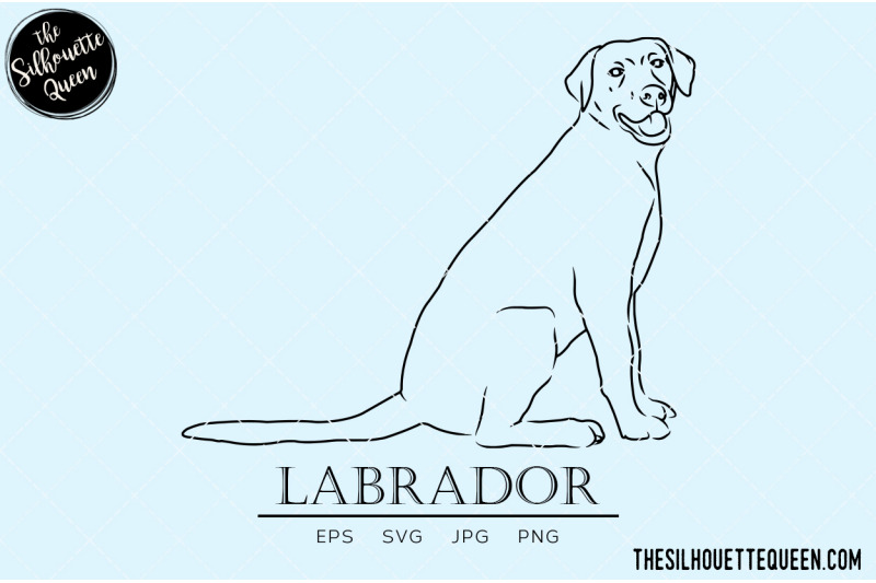 labrador-sketch