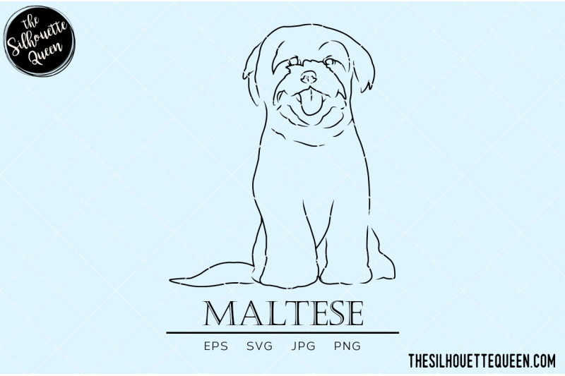 maltese-sketch