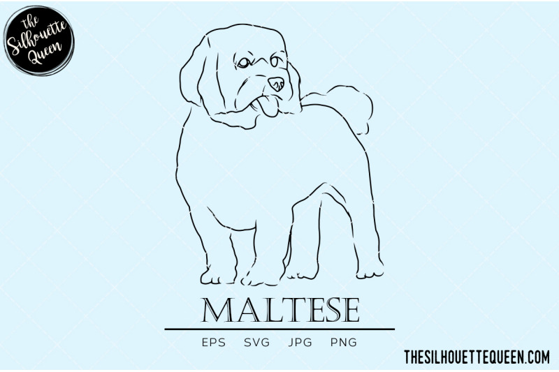 maltese-sketch