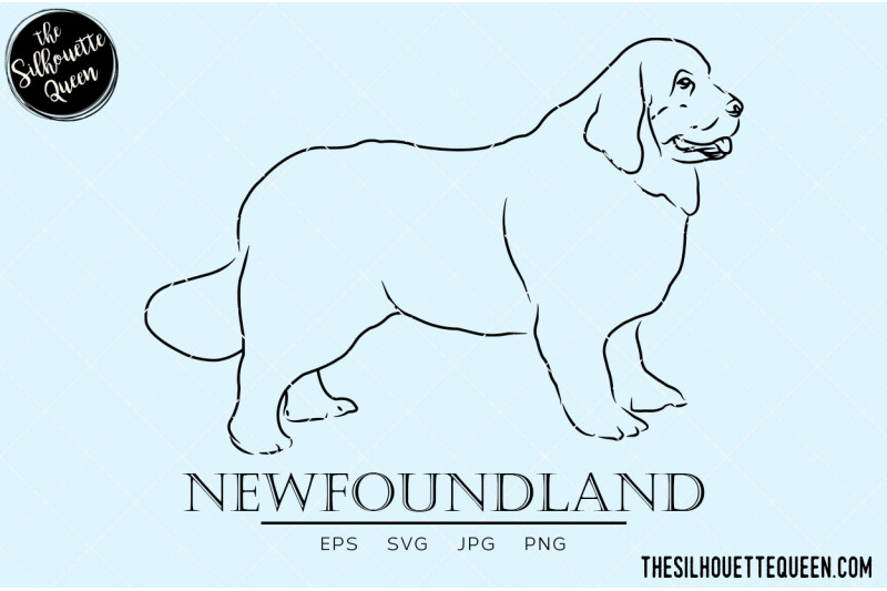 newfoundland-sketch