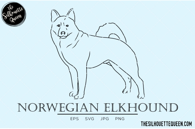 norwegian-elkhound-sketch