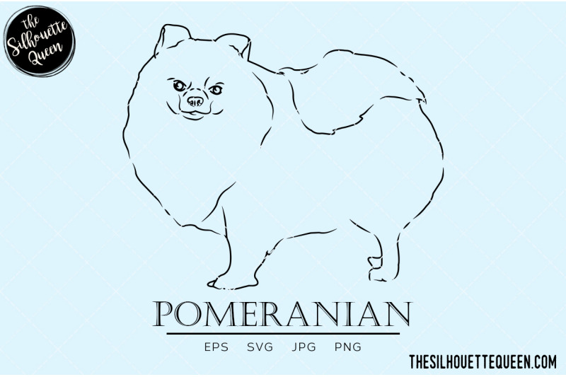 pomeranian-sketch