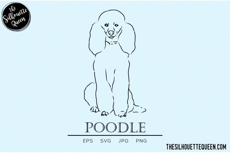 poodle-sketch