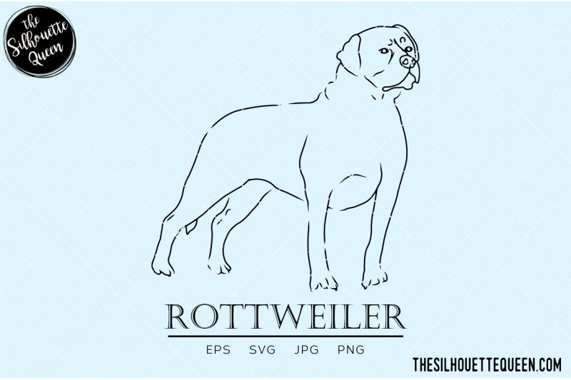 rottweiler-sketch