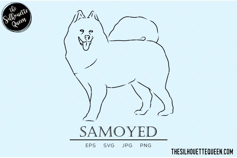 samoyed-sketch