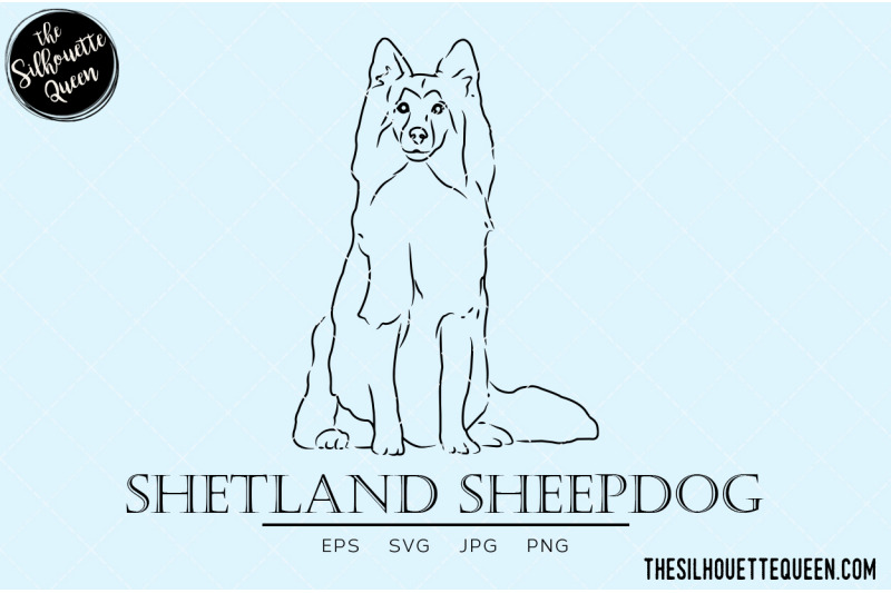 shetland-sheepdog-sketch