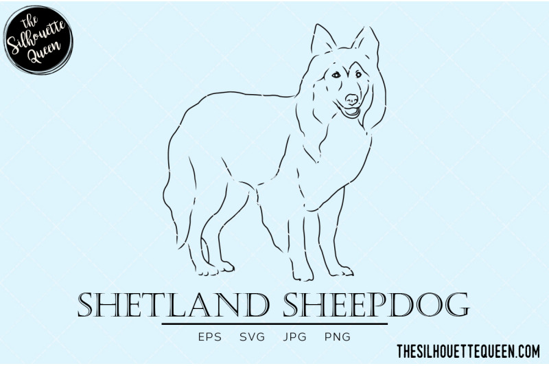 shetland-sheepdog-sketch