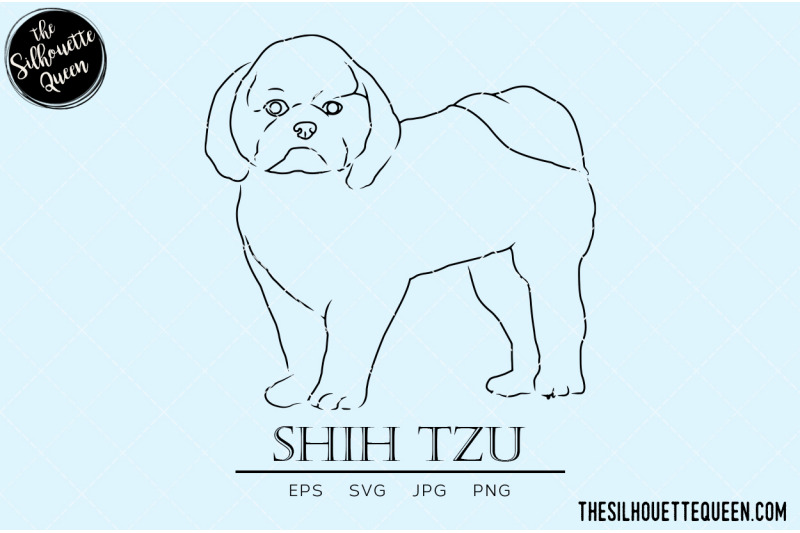 shih-tzu-sketch