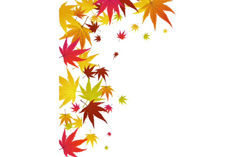 maple-autumn-banner