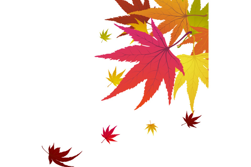 maple-autumn-banner