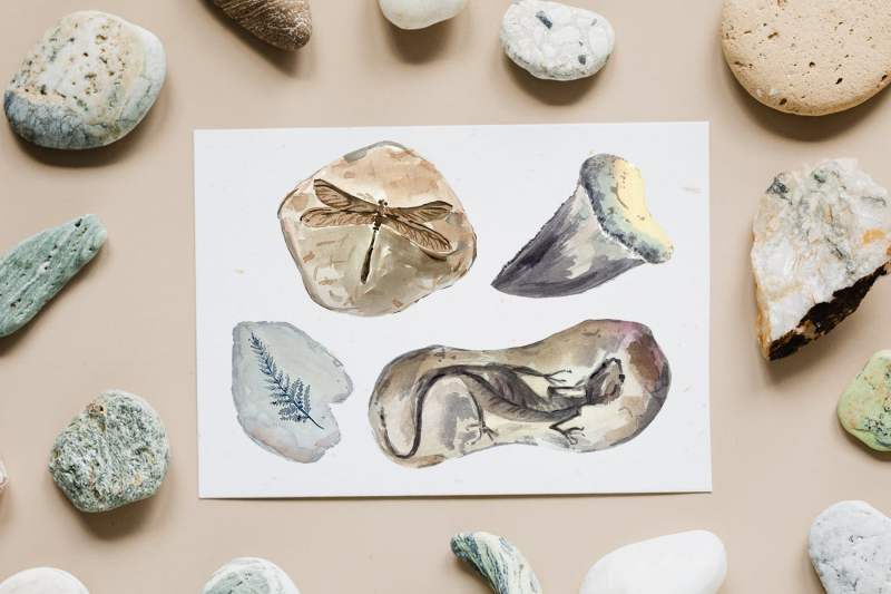 fossils-watercolor-clip-art-set