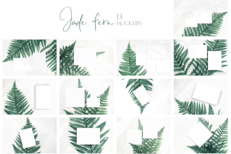 jade-fern-mockup-photo-bundle