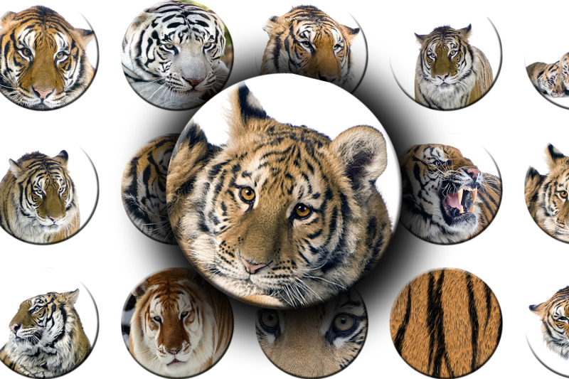 digital-collage-sheet-india-tiger