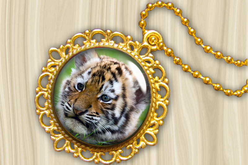 digital-collage-sheet-india-tiger