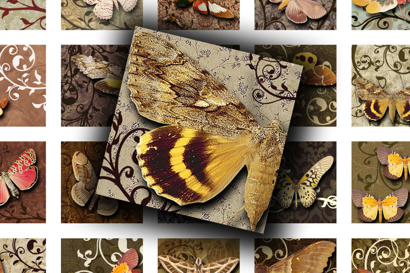 digital-collage-sheet-brown-moth