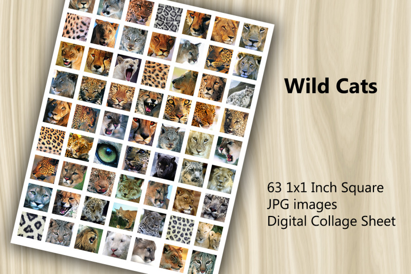 digital-collage-sheet-wild-cats