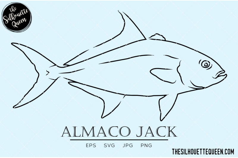 almaco-jack-hand-sketched-hand-drawn-vector-clipart