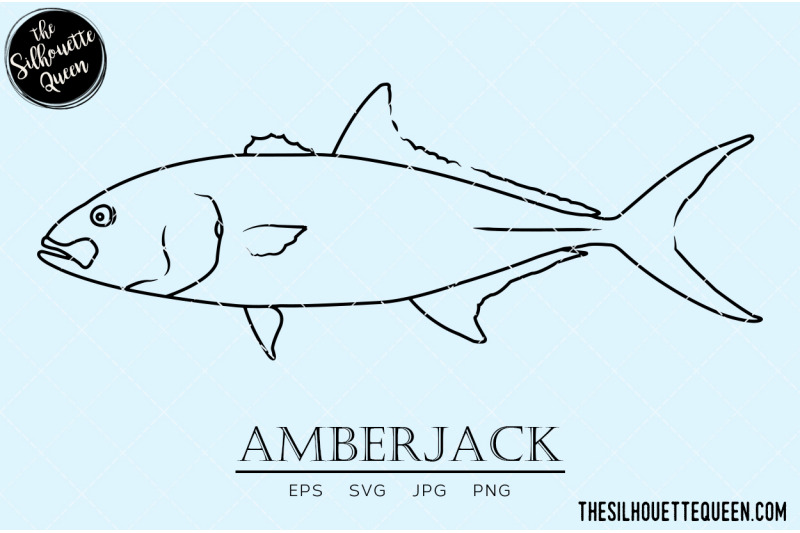 amberjack-hand-sketched-hand-drawn-vector-clipart