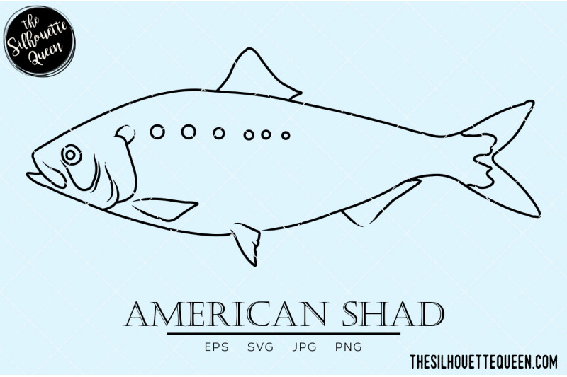 american-shad-hand-sketched-hand-drawn-vector-clipart