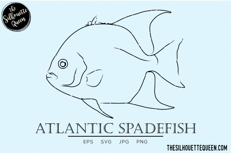 atlantic-spadefish-hand-sketched-hand-drawn-vector-clipart