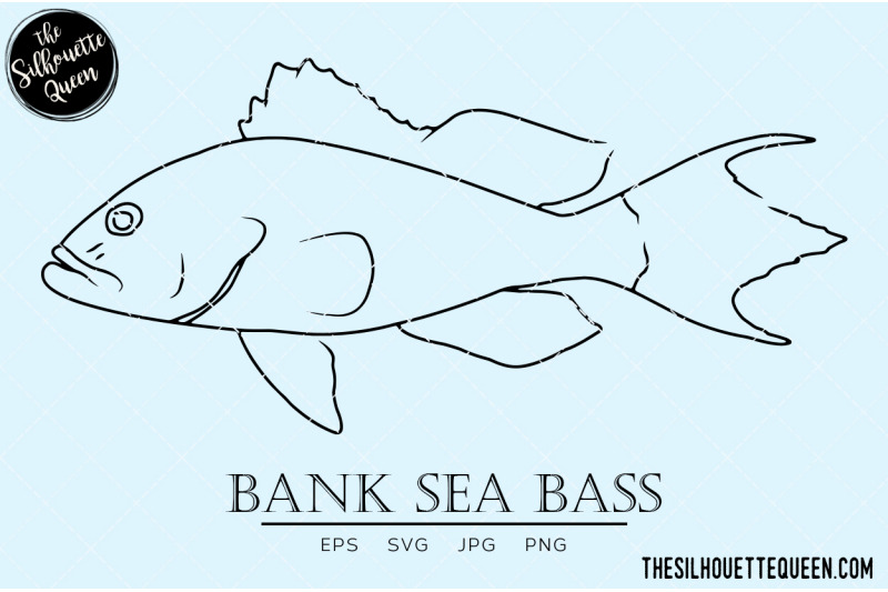 bank-sea-bass-hand-sketched-hand-drawn-vector-clipart