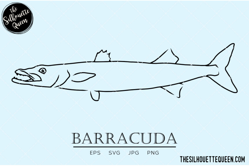 barracuda-hand-sketched-hand-drawn-vector-clipart