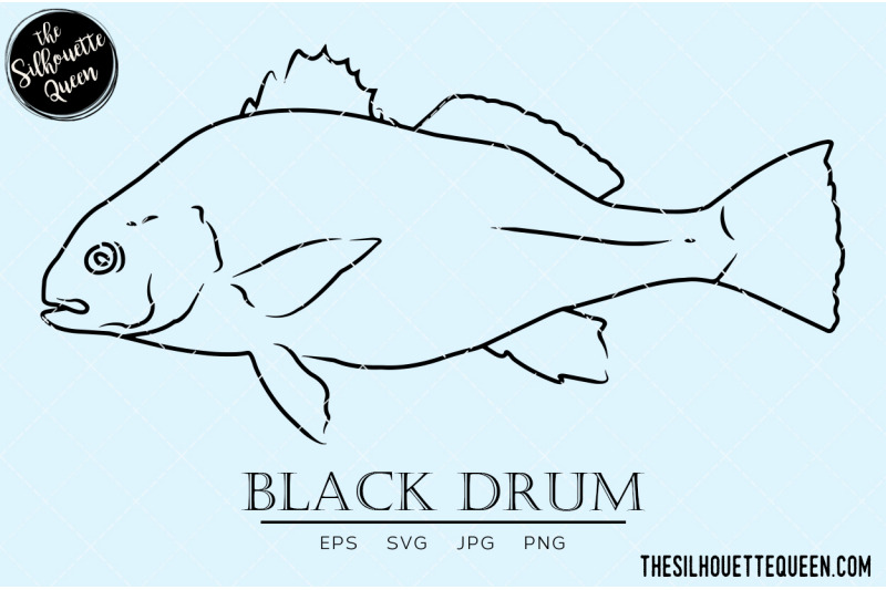 black-drum-hand-sketched-hand-drawn-vector-clipart