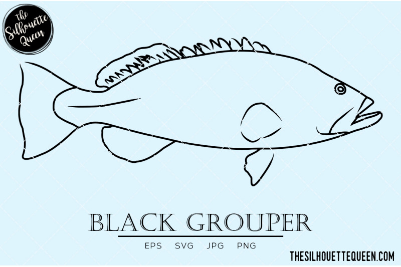 black-grouper-hand-sketched-hand-drawn-vector-clipart