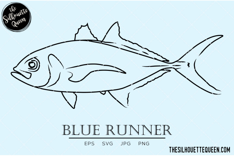 blue-runner-hand-sketched-hand-drawn-vector-clipart