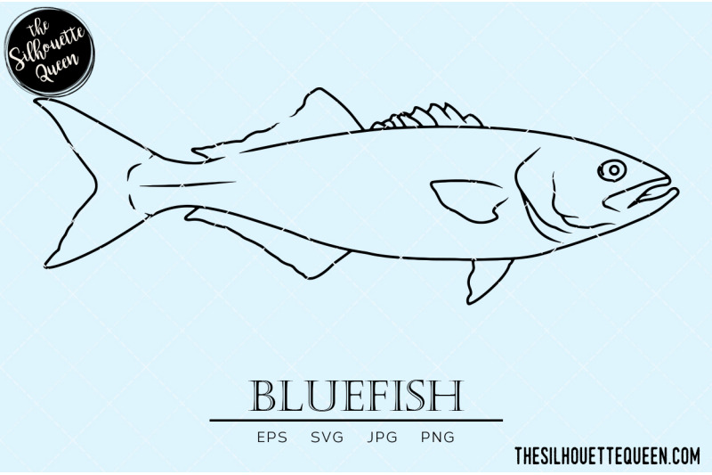 bluefish-hand-sketched-hand-drawn-vector-clipart