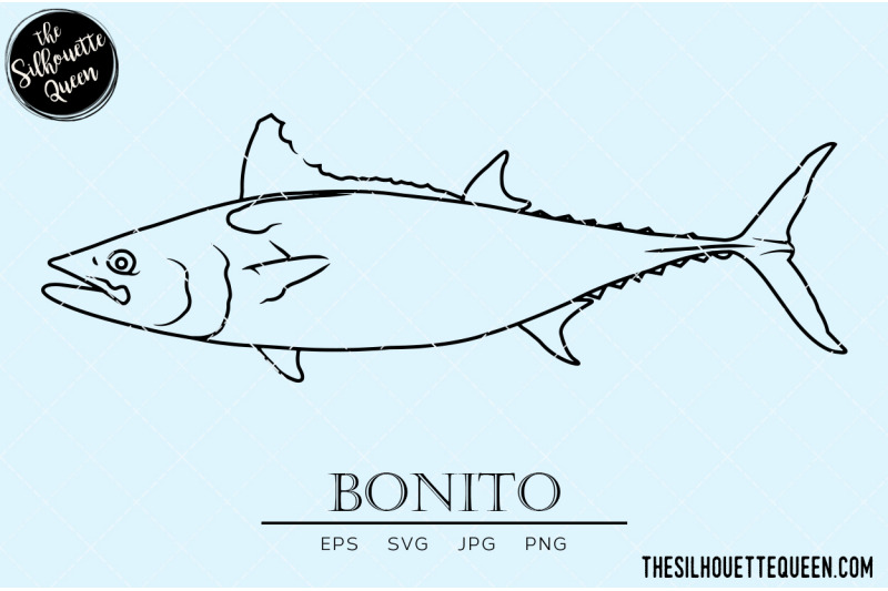 bonito-hand-sketched-hand-drawn-vector-clipart