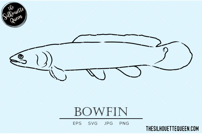 bowfin-hand-sketched-hand-drawn-vector-clipart