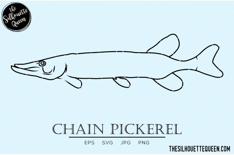 chain-pickerel-hand-sketched-hand-drawn-vector-clipart