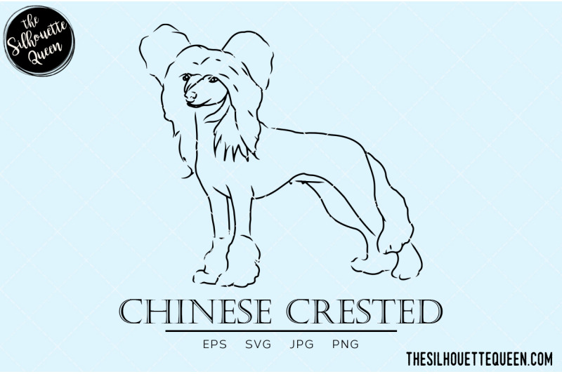 chinese-crested-hand-sketched-hand-drawn-vector-clipart