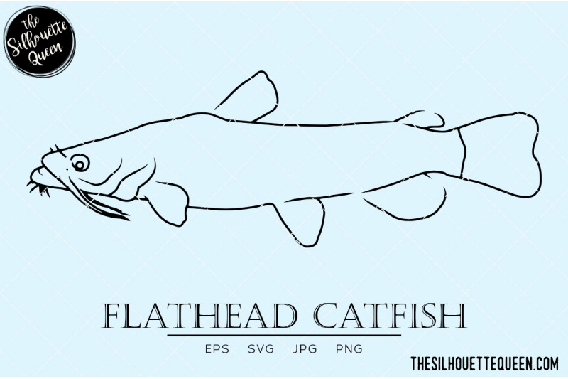 flathead-catfish-hand-sketched-hand-drawn-vector-clipart