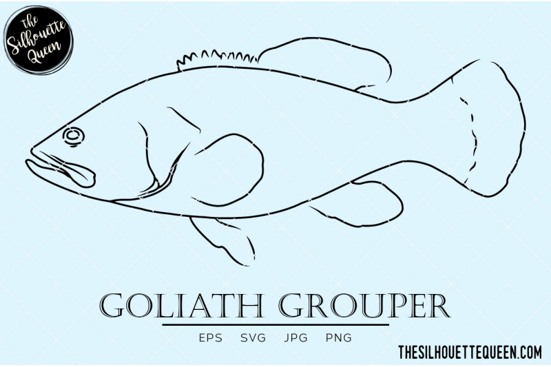 goliath-grouper-hand-sketched-hand-drawn-vector-clipart