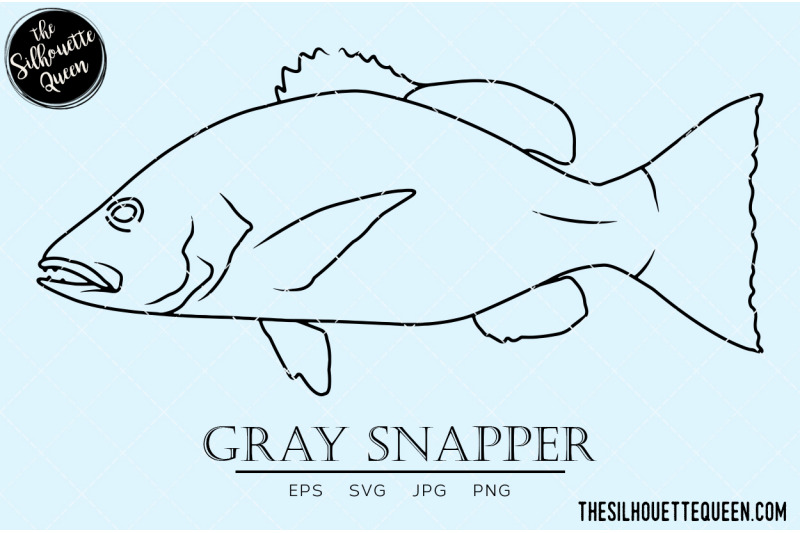 gray-snapper-hand-sketched-hand-drawn-vector-clipart