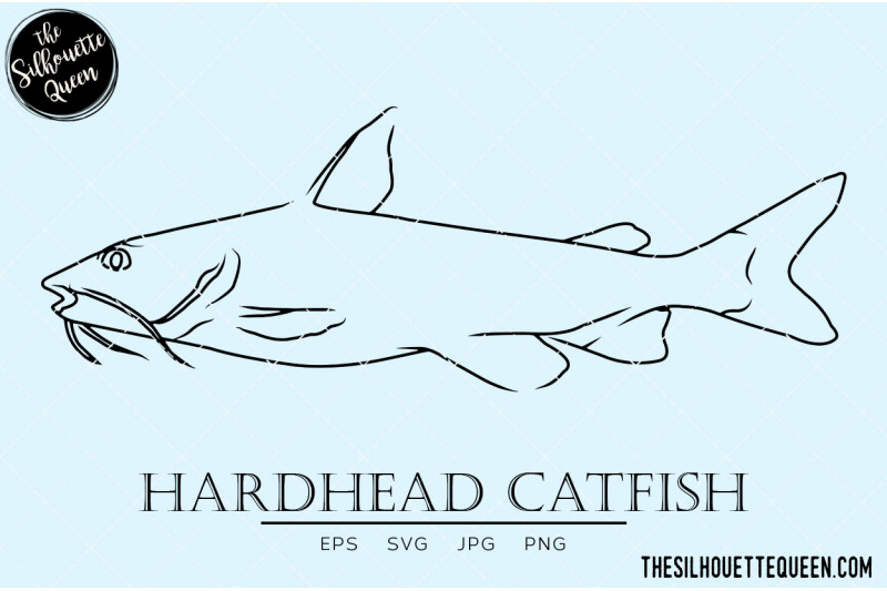 hardhead-catfish-hand-sketched-hand-drawn-vector-clipart