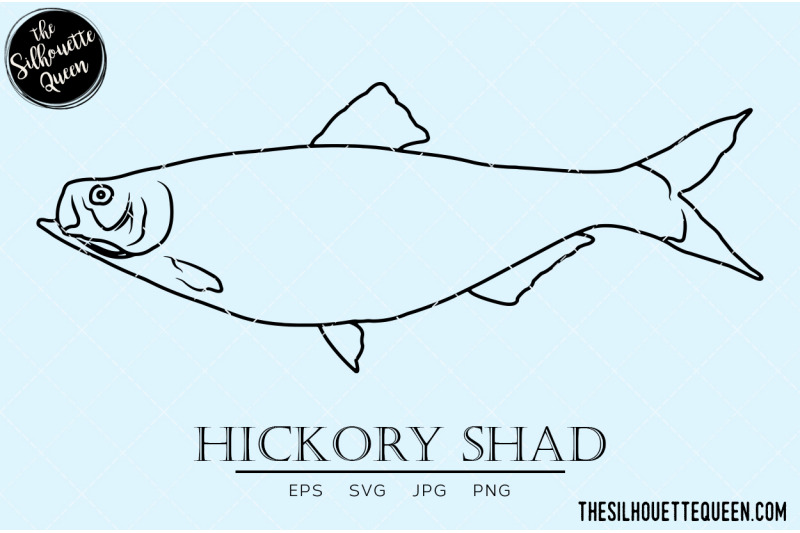 hickory-shad-hand-sketched-hand-drawn-vector-clipart