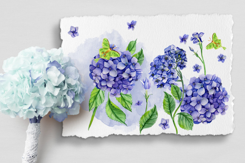 watercolor-hydrangea-flowers-clipart-blue-hydrangea