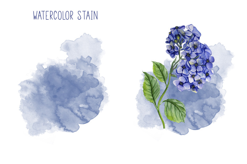 watercolor-hydrangea-flowers-clipart-blue-hydrangea