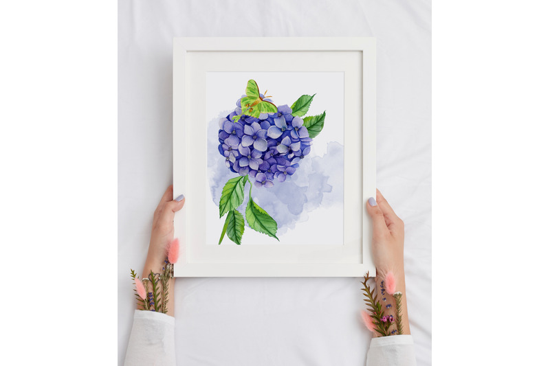 watercolor-hydrangea-flowers-clipart-blue-hydrangea