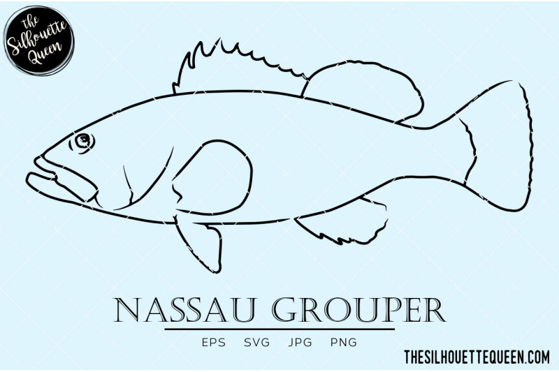 nassau-grouper-hand-sketched-hand-drawn-vector-clipart